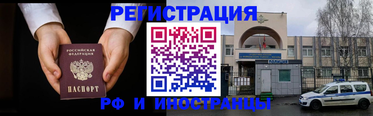 прописка поиск в Котово